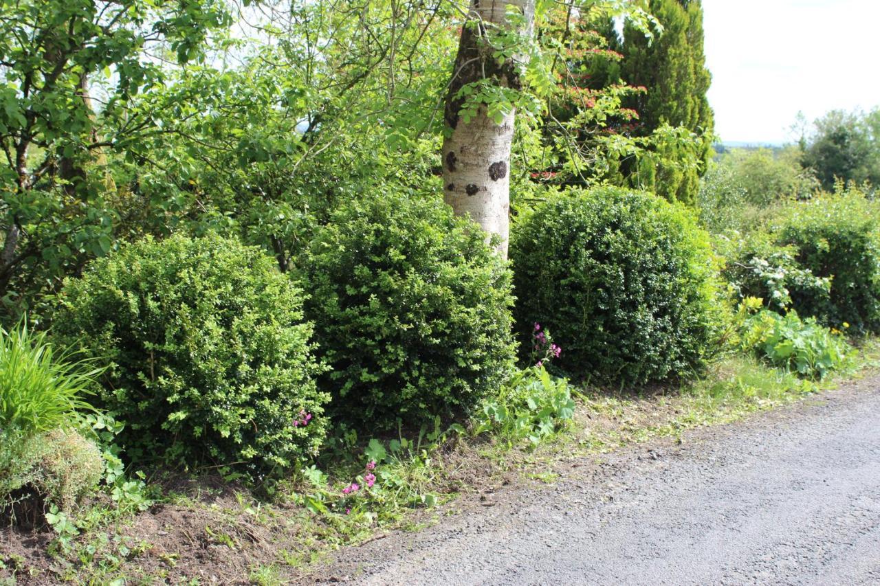 Ketty'S Cottage Rosslea Екстер'єр фото